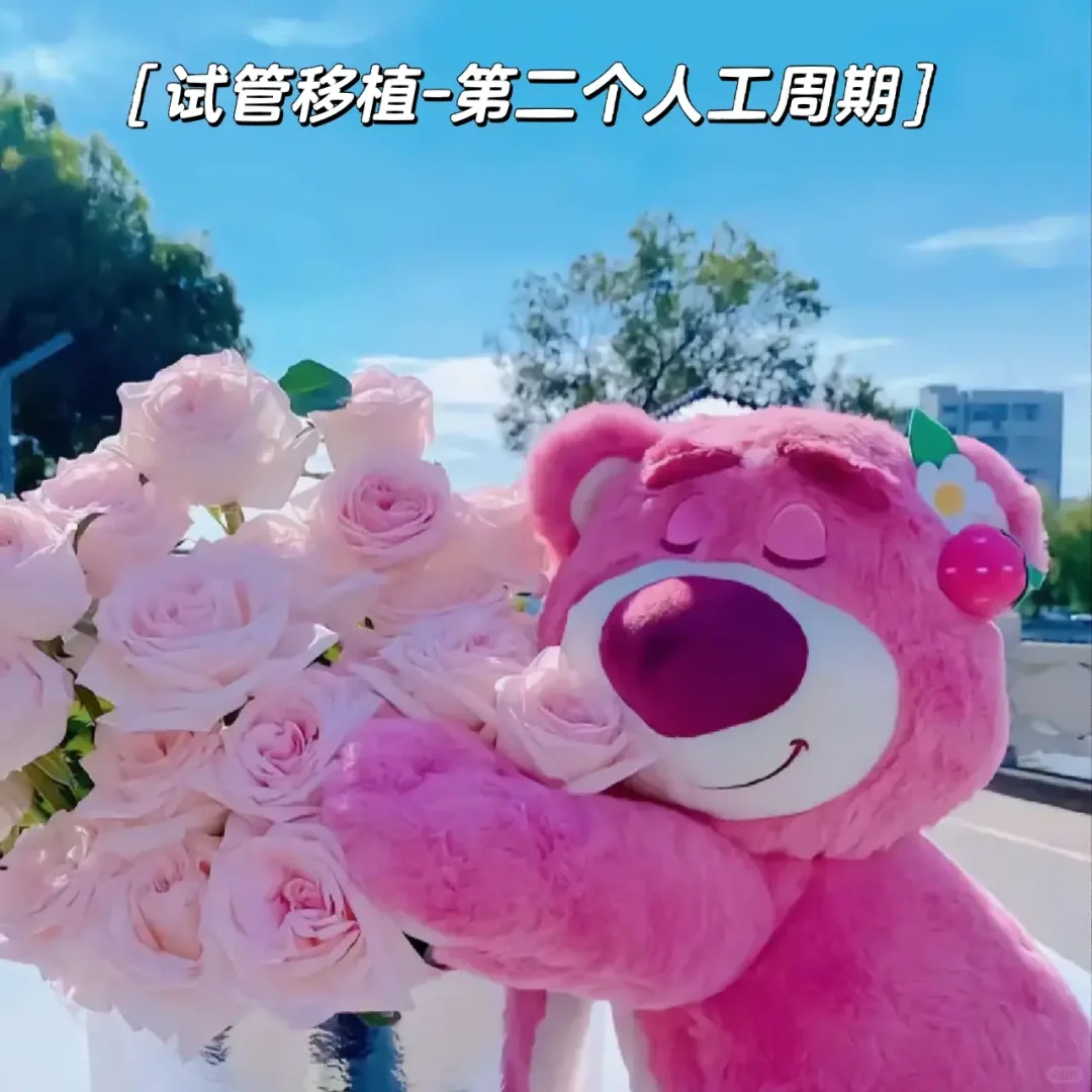 移植-第二个人工周期,试管代怀代生医院排名