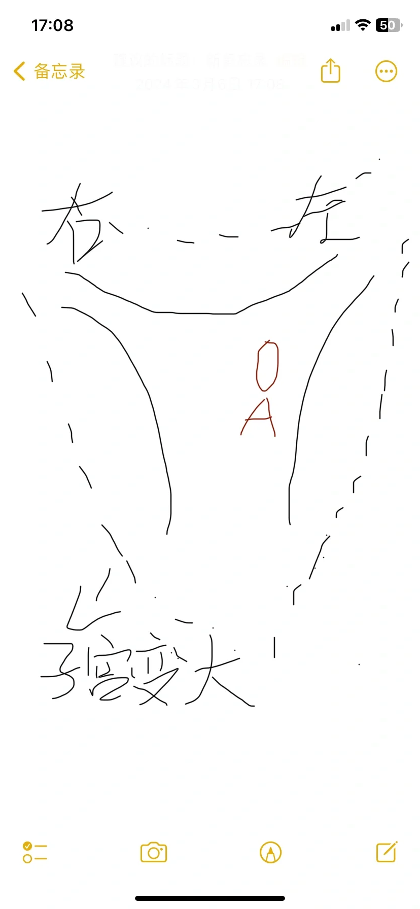 关于孕囊偏向宫角,试管代孕费用成功率