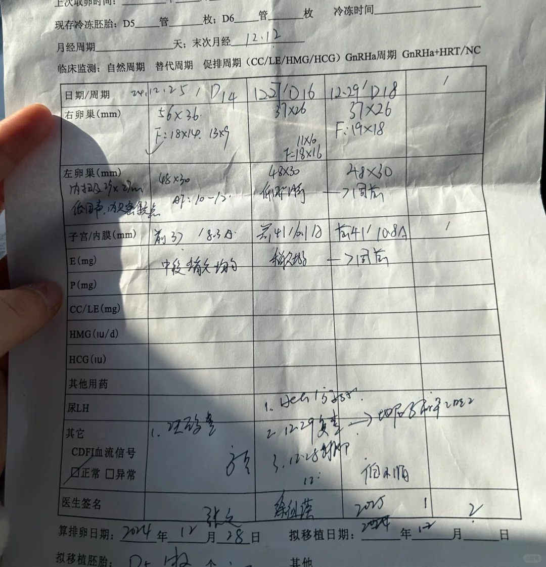 取卵后第一次月经周期定移啦,代生试管价格