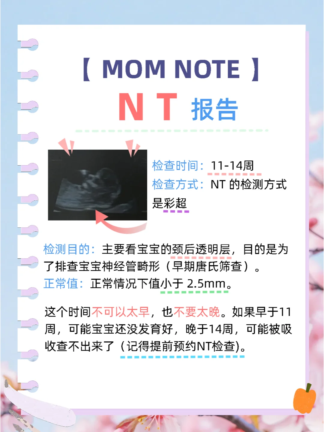【 MOM NOTE 】 NT,哪里有助孕试管